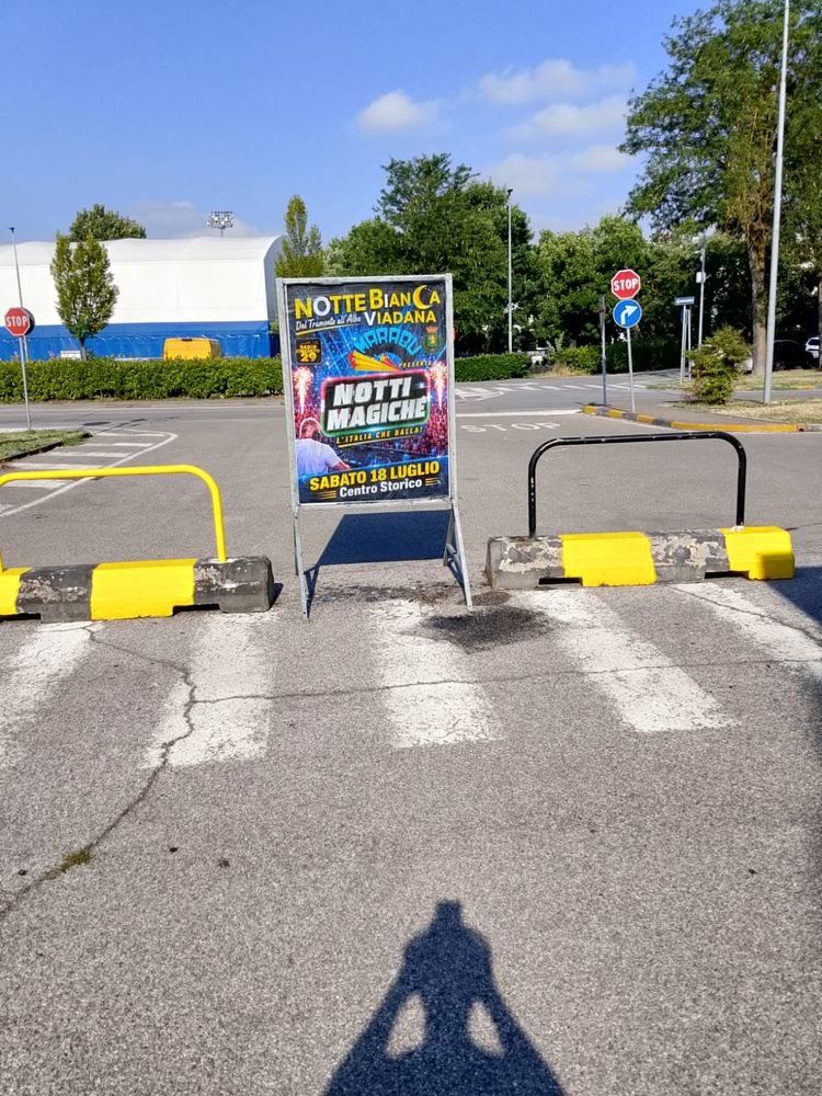 Cavalletto della Notte Bianca di Viadana nel centro storico